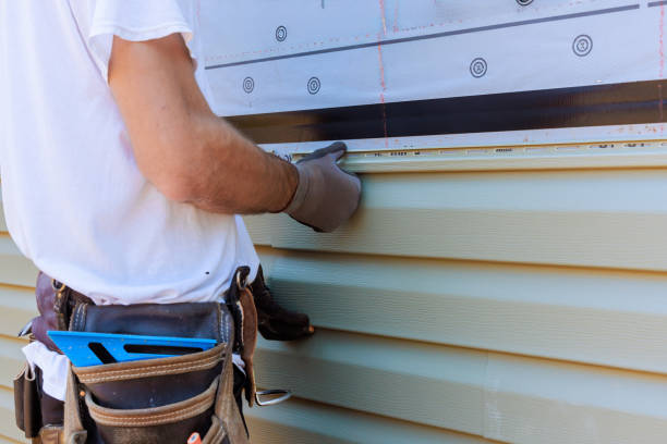 Affordable Vinyl Siding solutions in Zirconia, NC